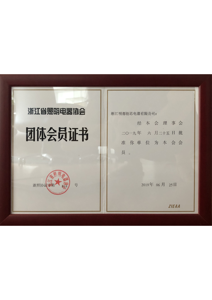 浙江省照明電器協(xié)會團(tuán)體會員證書